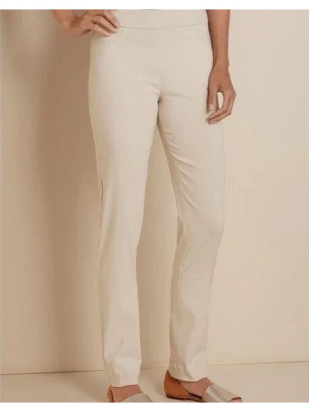 Soft Surroundings Neutral Taupe Stretch Pants